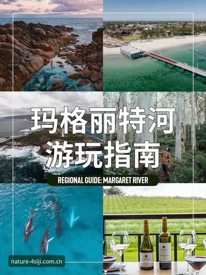 四季APP评价 四季APP实用评价指南:掌握自然美景观赏的关键技巧
